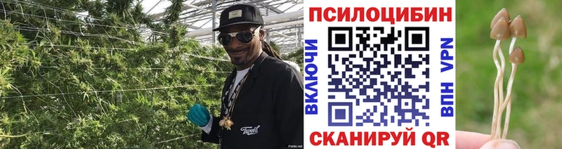 Псилоцибиновые грибы ЛСД Красноуфимск