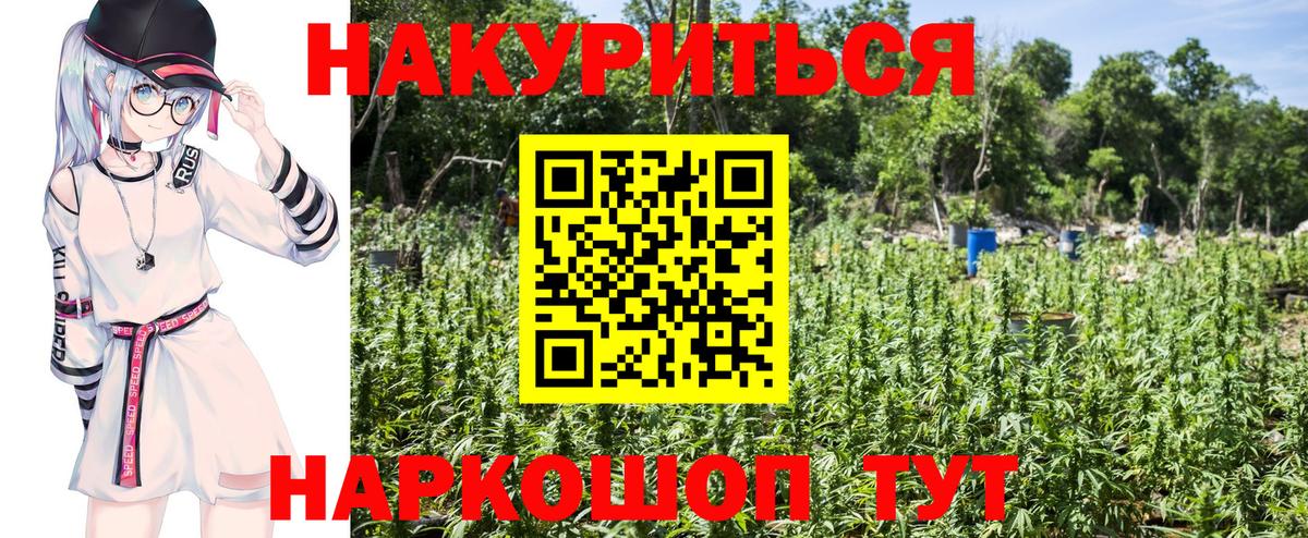 Бошки марихуана Ganja  Шишки марихуана план  Вход с VPN  Красноуфимск  Марихуана индика 